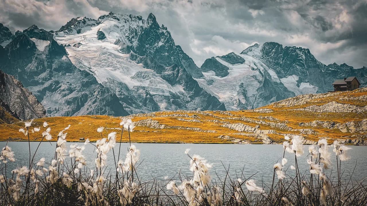 Alpine panorama with majestic peaks, turquoise lake and delicate flowers in the foreground.