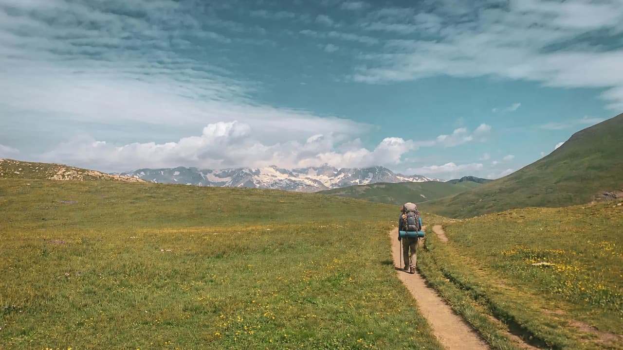 A hiker on a green path, surrounded by majestic mountains under a blue sky.