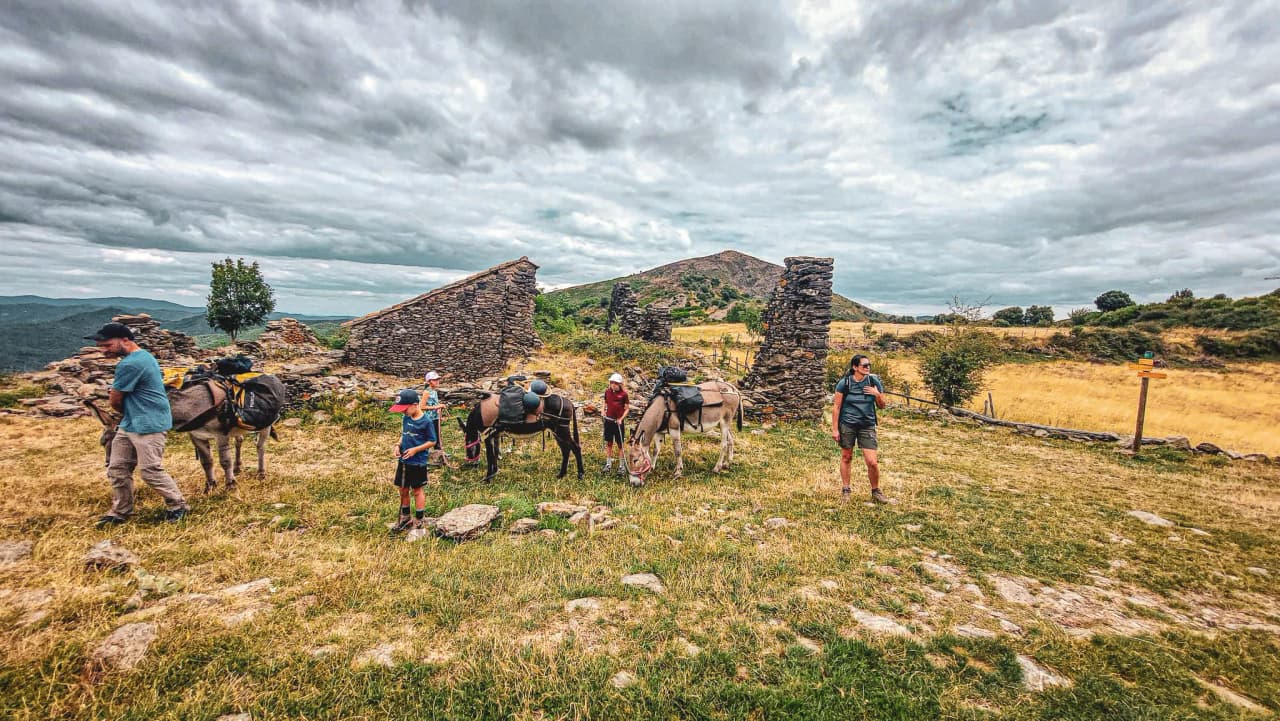 A group of hikers with donkeys, in the middle of the Cévennes under a bright cloudy sky.