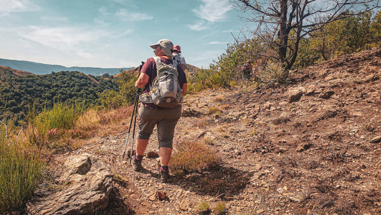 Hiking in the Cévennes, walkers with sticks, lush green landscapes under a blue sky.