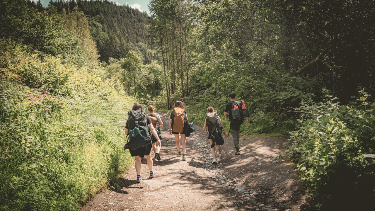 A group of walkers on a green path in the heart of nature, in the Semois valley.