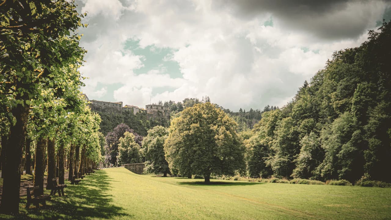 A verdant landscape in the Semois valley, with trees, inviting benches and a castle in the background.