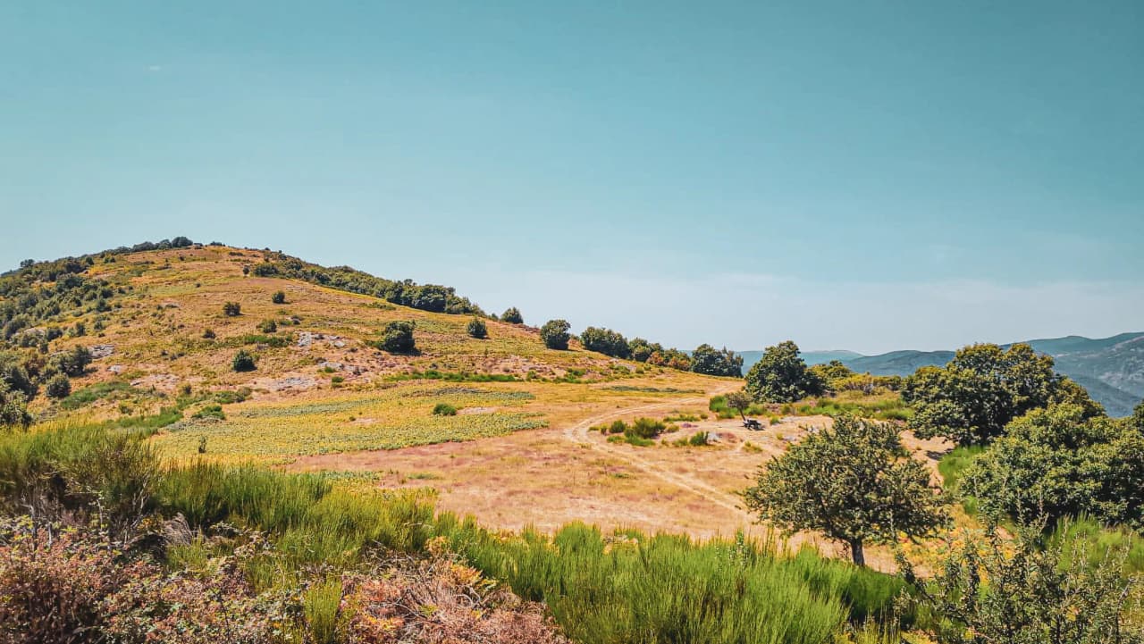 The picturesque landscape of the Cévennes, golden hills and brilliant blue skies, an invitation to adventure.