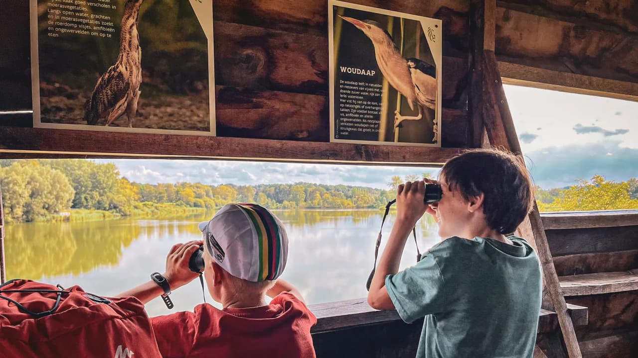 Deux enfants observent la nature avec des jumelles depuis un abri, admirant un paysage paisible.