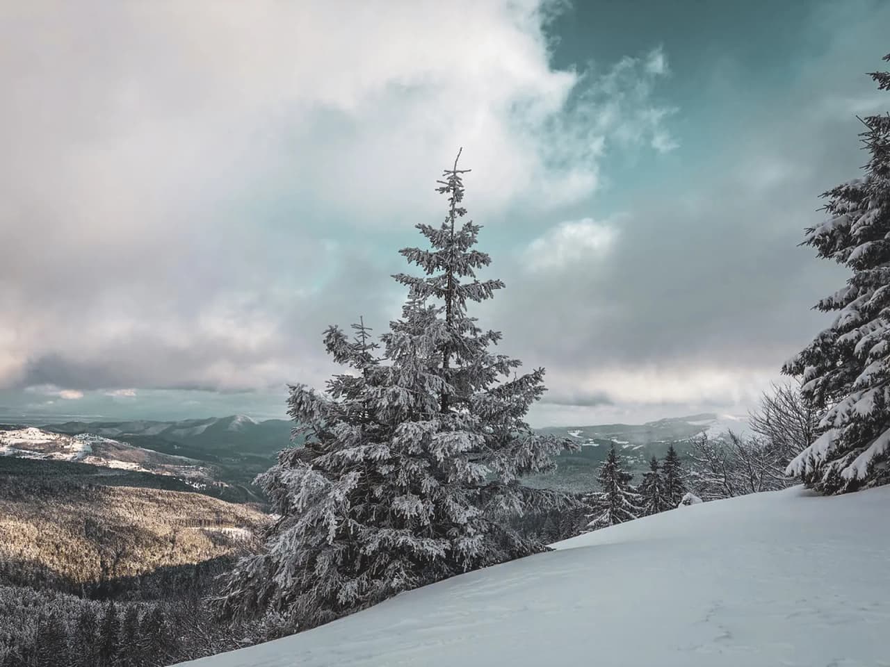 A snowy landscape in the Vosges, trees covered in snow, cloudy skies, a call to escape.