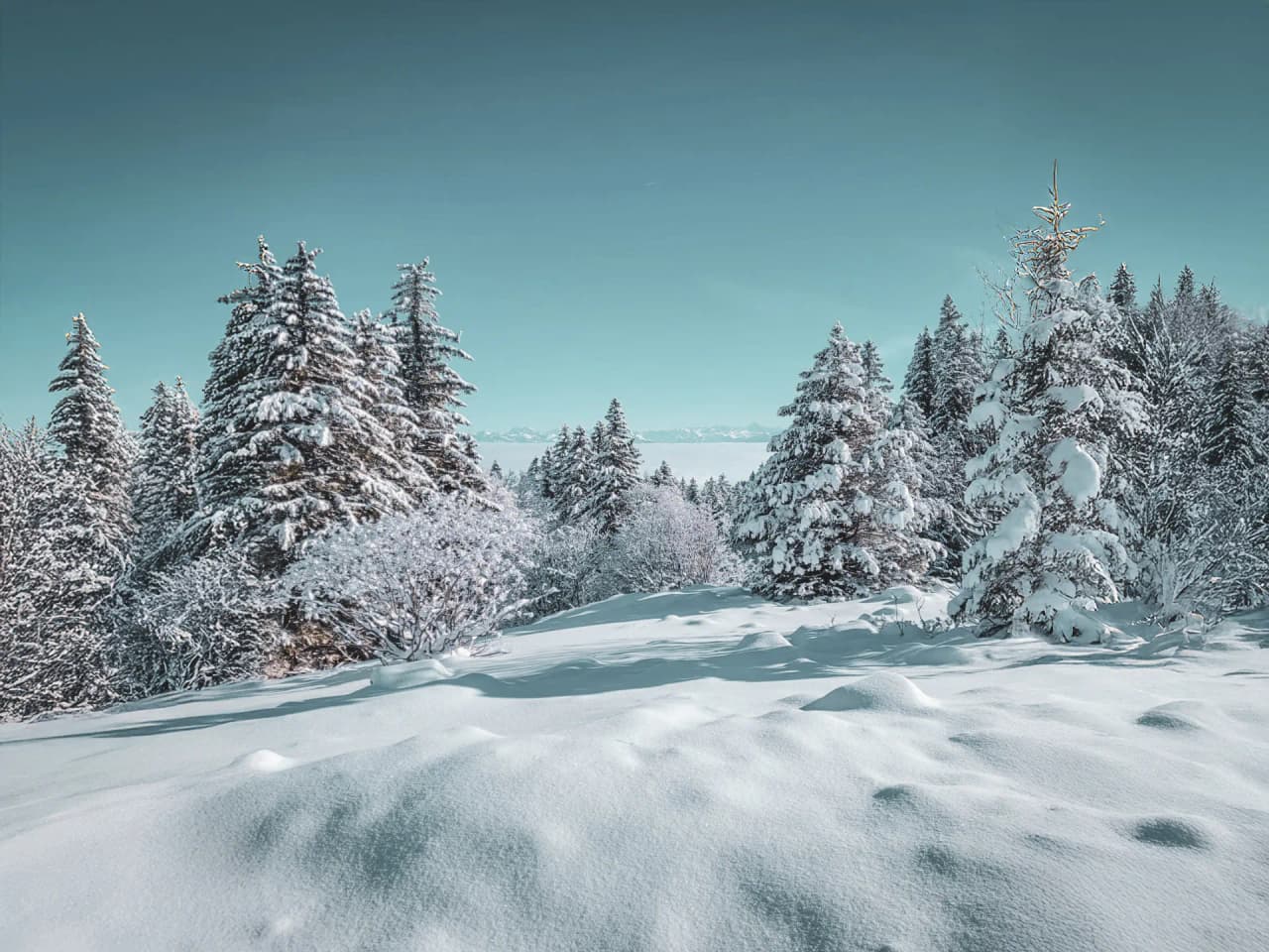 An enchanting winter panorama of the Swiss Jura, with snow-covered trees under a clear blue sky.