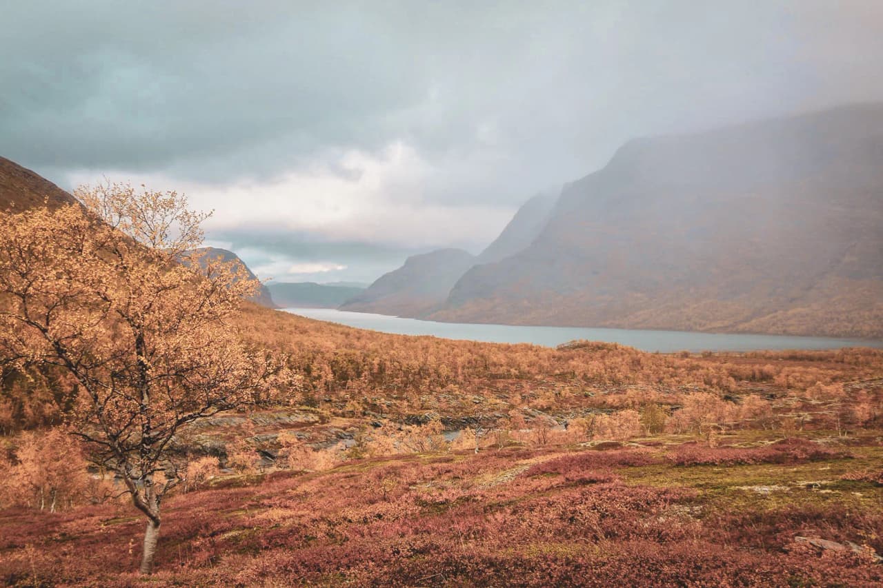 Vaste paysage de Laponie suédoise, vallées dorées et lac sous un ciel nuageux, invitation à l’aventure.