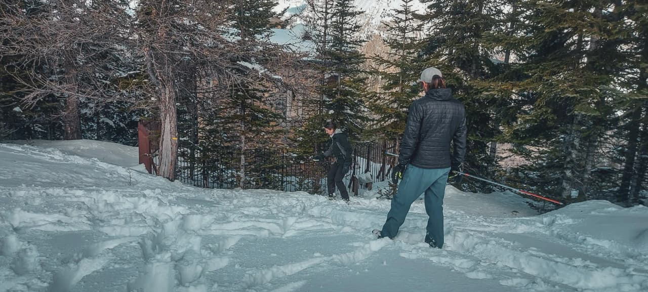 Two hikers in the snow, surrounded by trees, ready for a winter adventure.