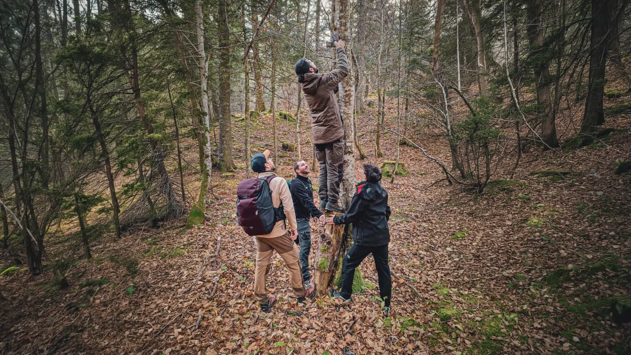 Randonnée en forêt entre amis avec activité nature et esprit d’équipe, une scène authentique d’aventure outdoor et de connexion humaine en pleine nature.