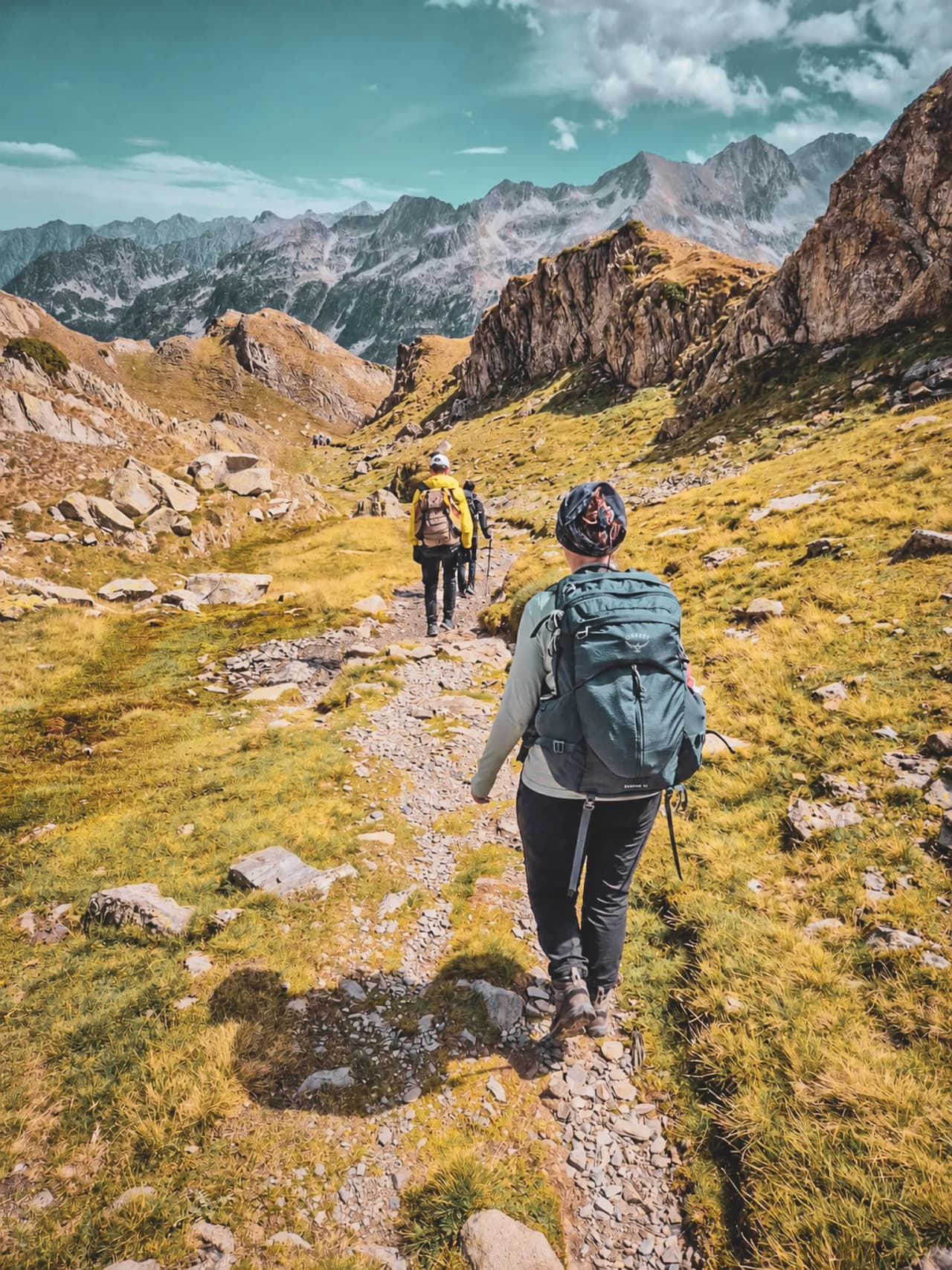 Randonnée et observation de la faune dans les Hautes Pyrénées