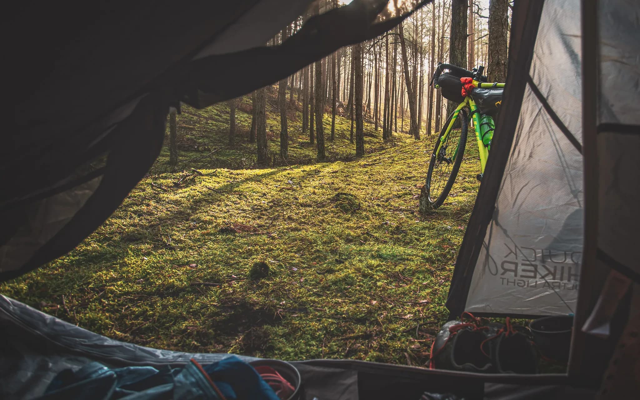 A glimpse of a camping area in a forest, with a view through the opening of a tent. The ground is covered in green moss, bathed in soft light through the trees. A green bicycle is leaning against