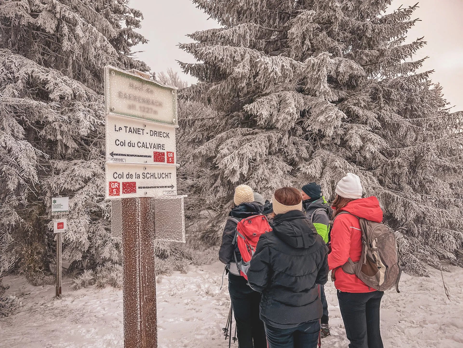 A hiker glides on snowshoes through the snow of the Vosges, surrounded by magical landscapes.