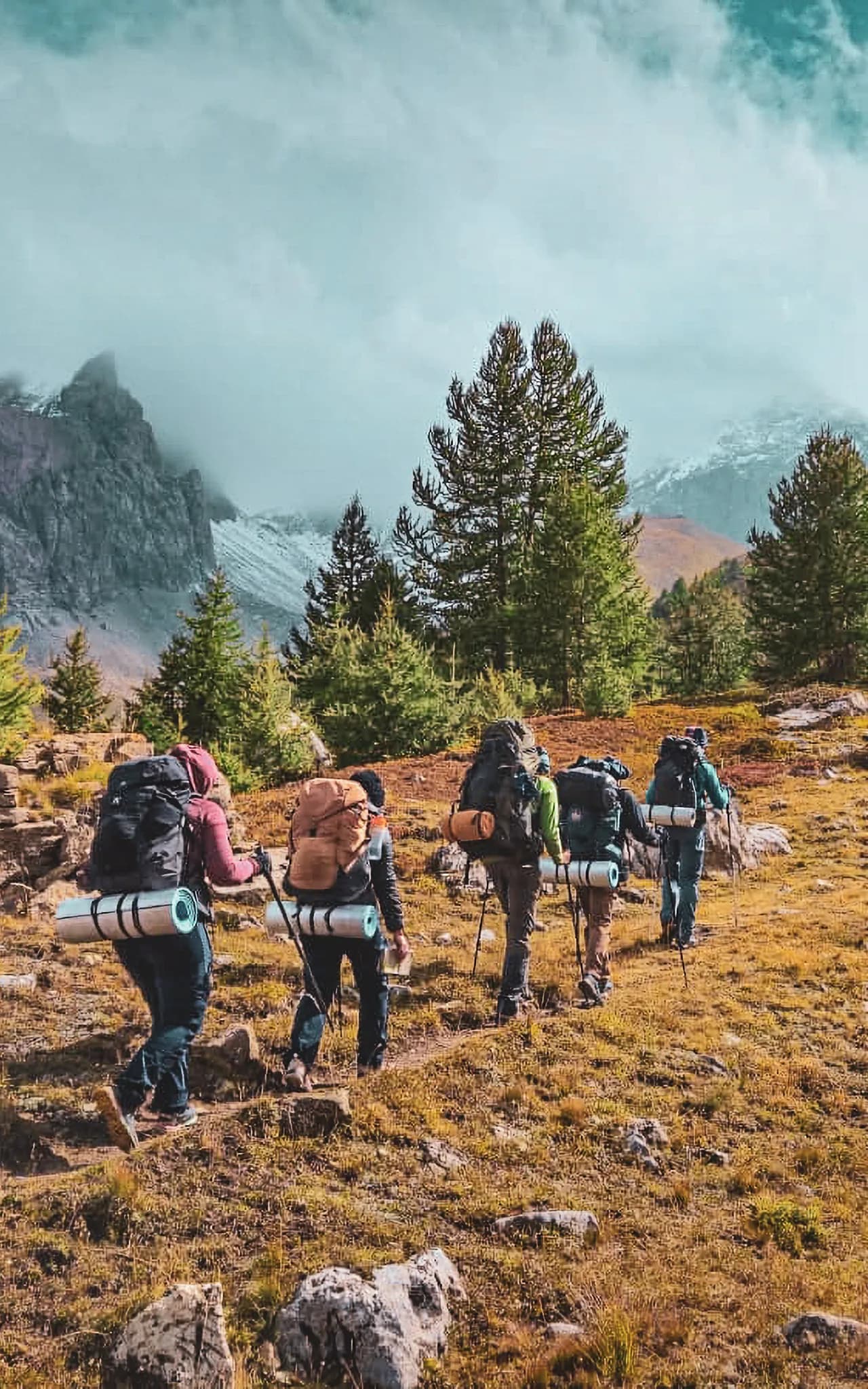 Stage survie au pied des géants des Alpes
