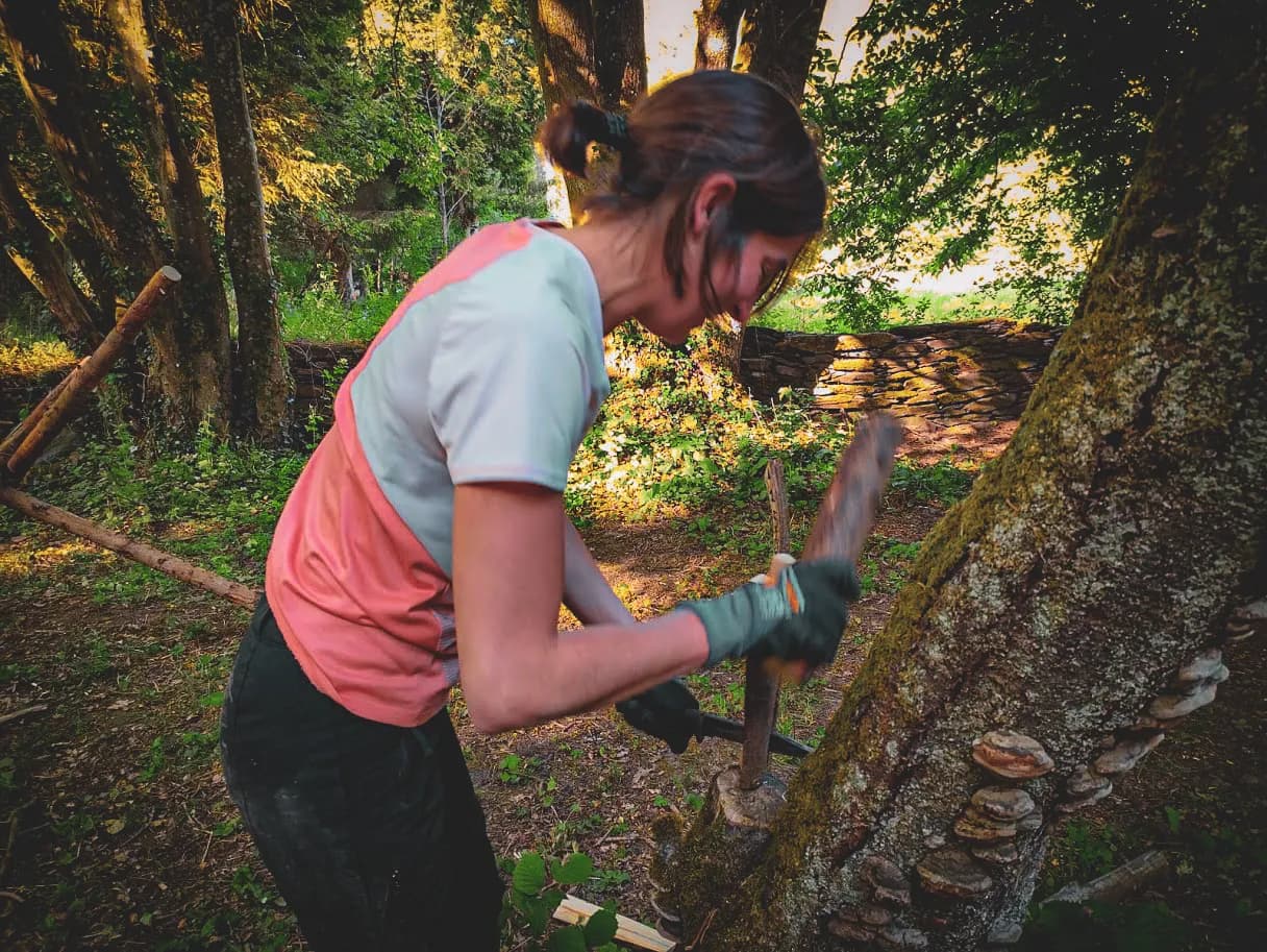 Une personne apprend la survie en forêt, sculptant un bois dans une belle nature ardennaise.