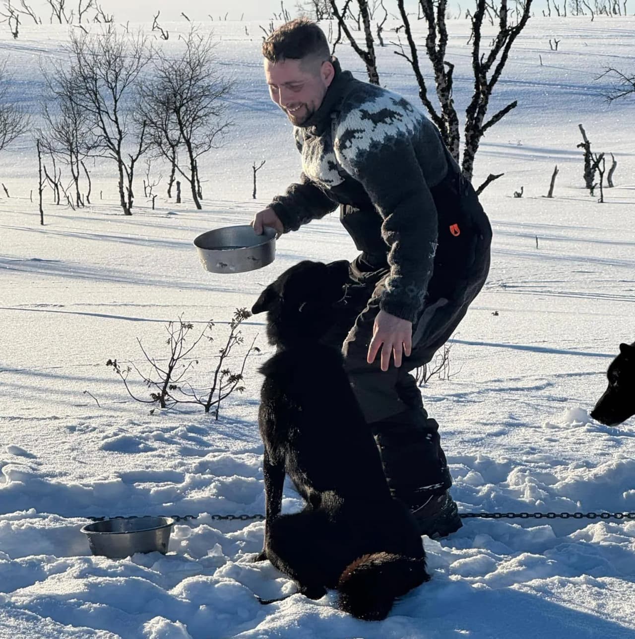 Guide Baudouin - Professional Dog-Sled Guide