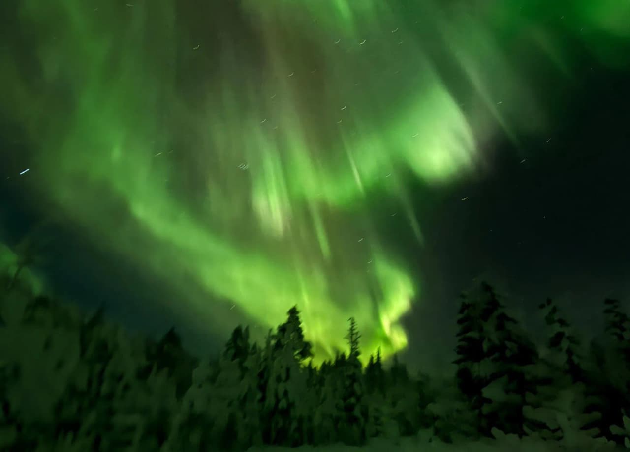 The green northern lights illuminate the starry sky above the snow-covered forests of Lapland.