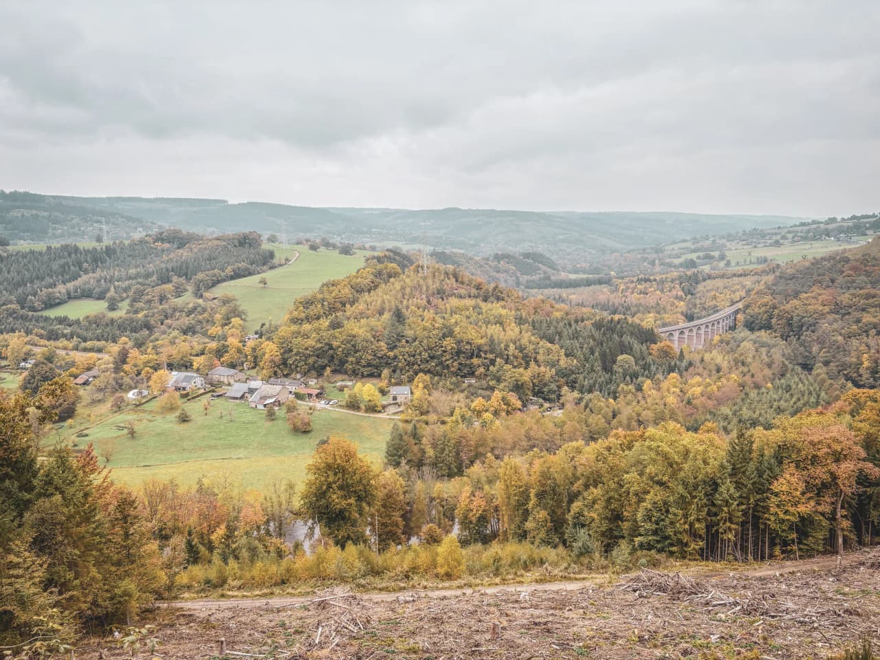 Panorama automnal paisible sur les vallées verdoyantes d'Ardenne, invitant à l'aventure.