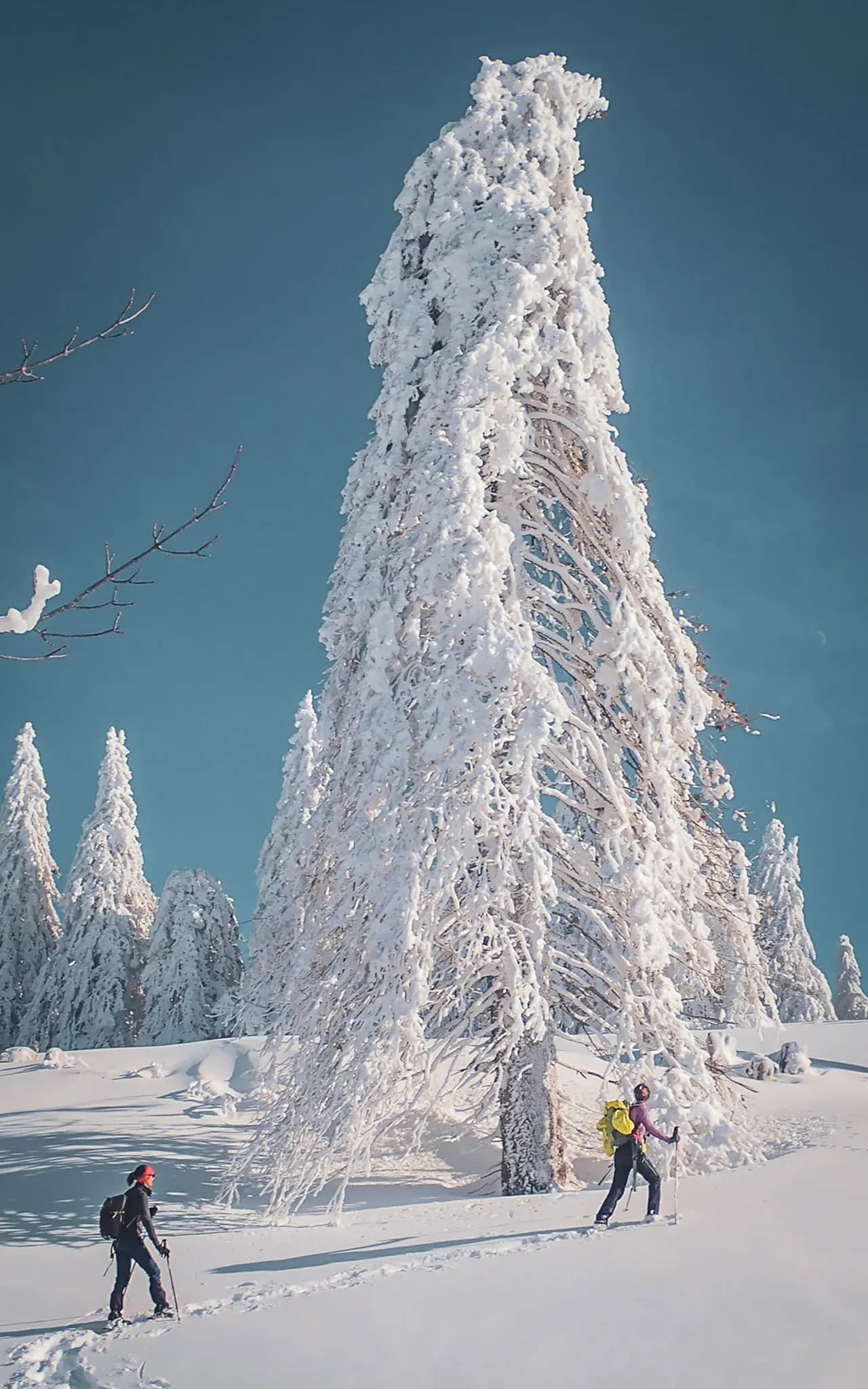 Vrouwenreis Oud en Nieuw: sneeuwschoenen & berghut in de Vercors