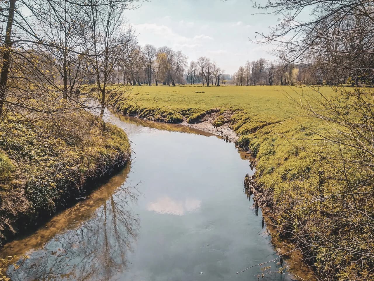 Lac dans un paysage de forêt