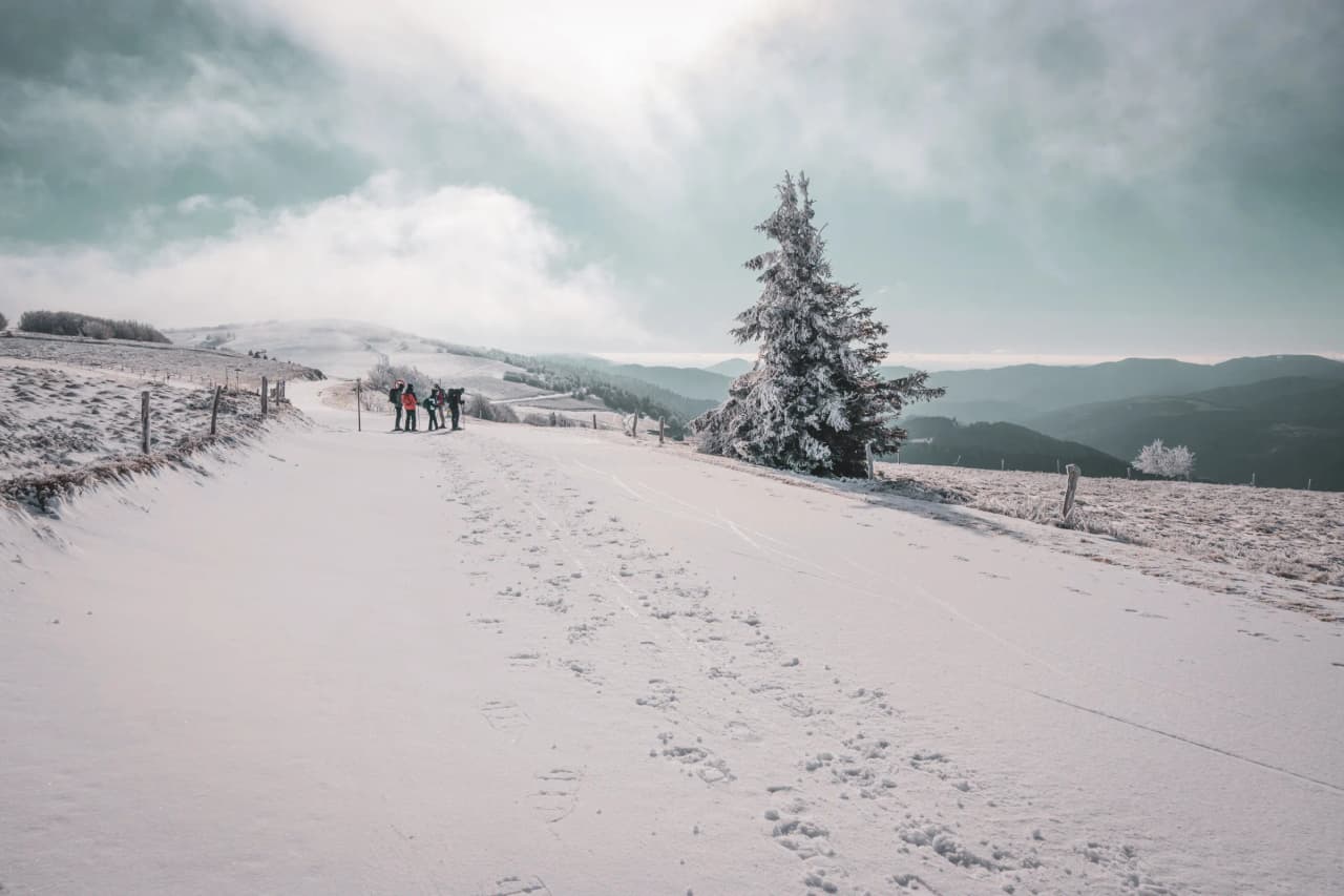Snowshoe trekking on the great Vosges ridge, snow-covered landscape and outdoor adventure.