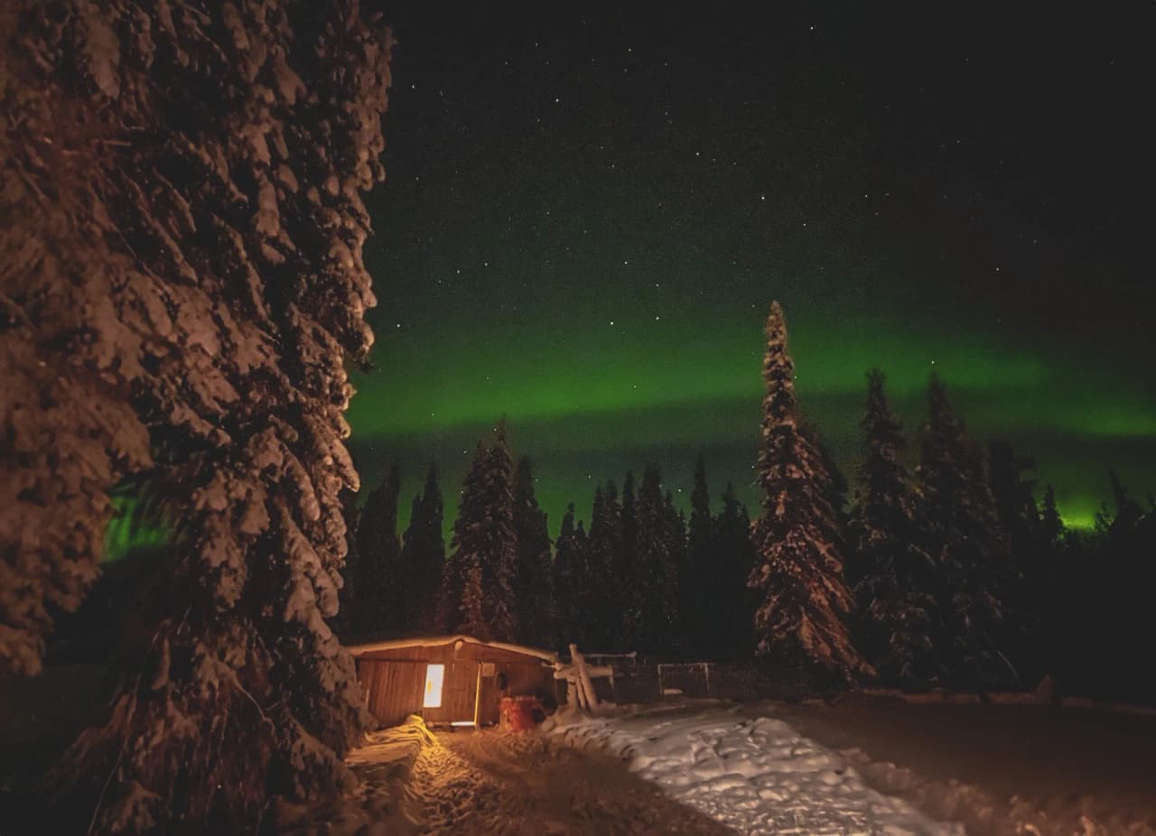 The magical glow of the northern lights illuminates a wooden hut surrounded by snow-covered fir trees.