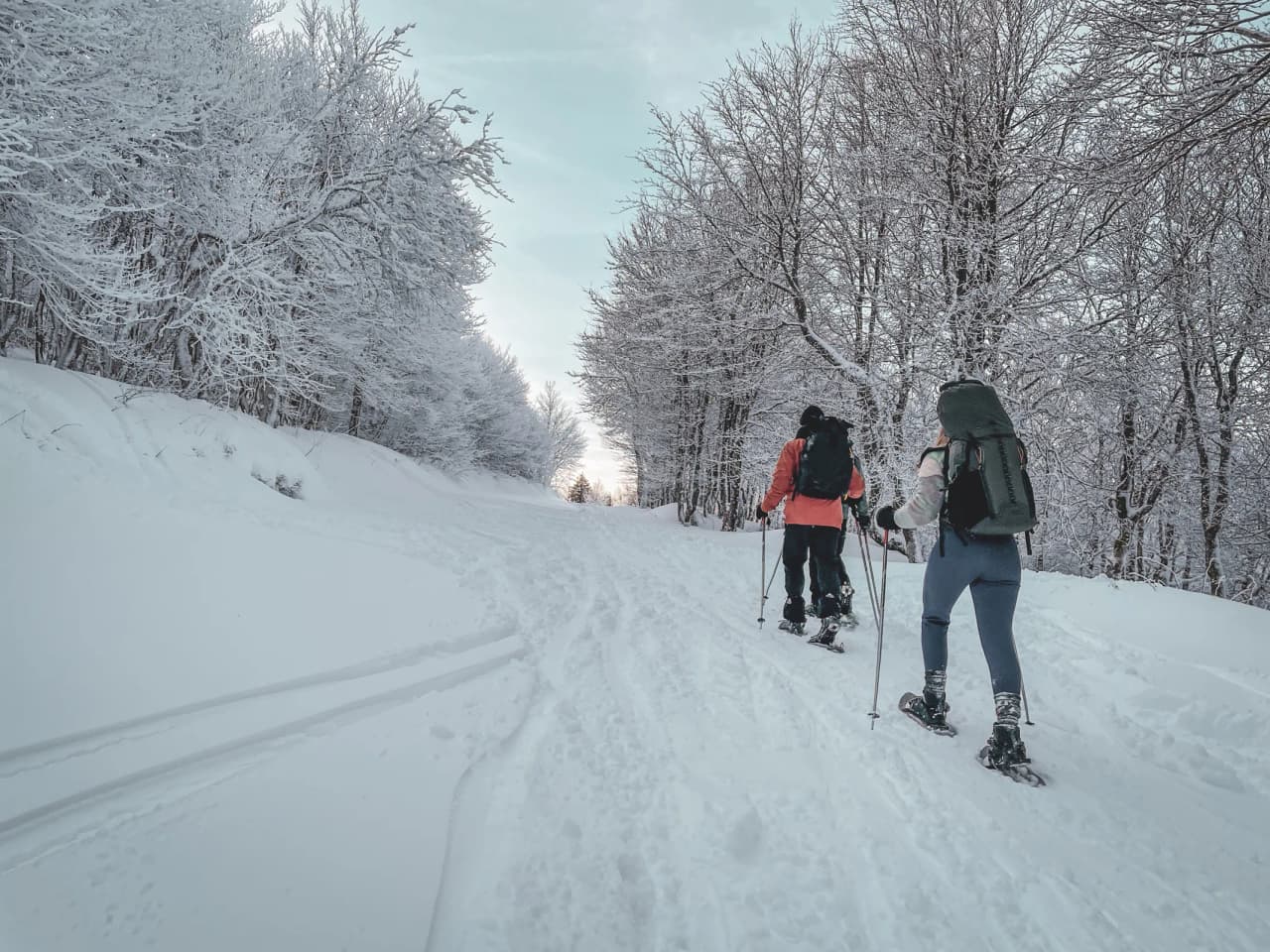Snowshoe hikers in a magical winter landscape, surrounded by snow-covered trees.
