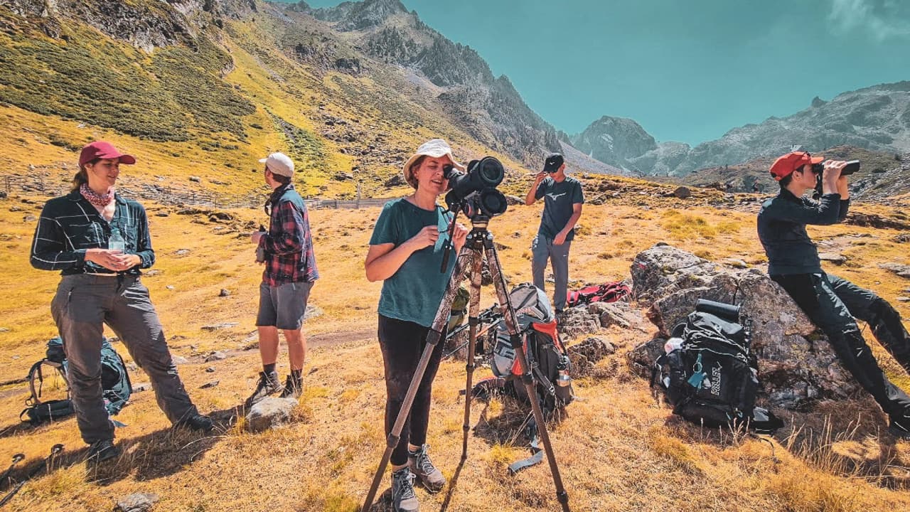Groupe de randonneurs observant la faune dans les Hautes Pyrénées, paysages époustouflants.
