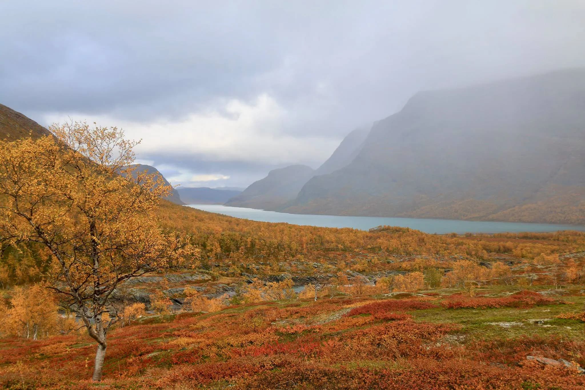 Un paysage automnal avec des collines et des montagnes en arrière-plan, où un cours d'eau serpente à travers la vallée. Des arbres aux feuilles dorées et orangées tapissent le sol.