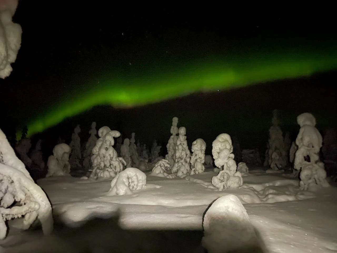 The Northern Lights illuminate a snow-covered landscape in Lapland, with frost-covered trees shimmering under the night sky.
