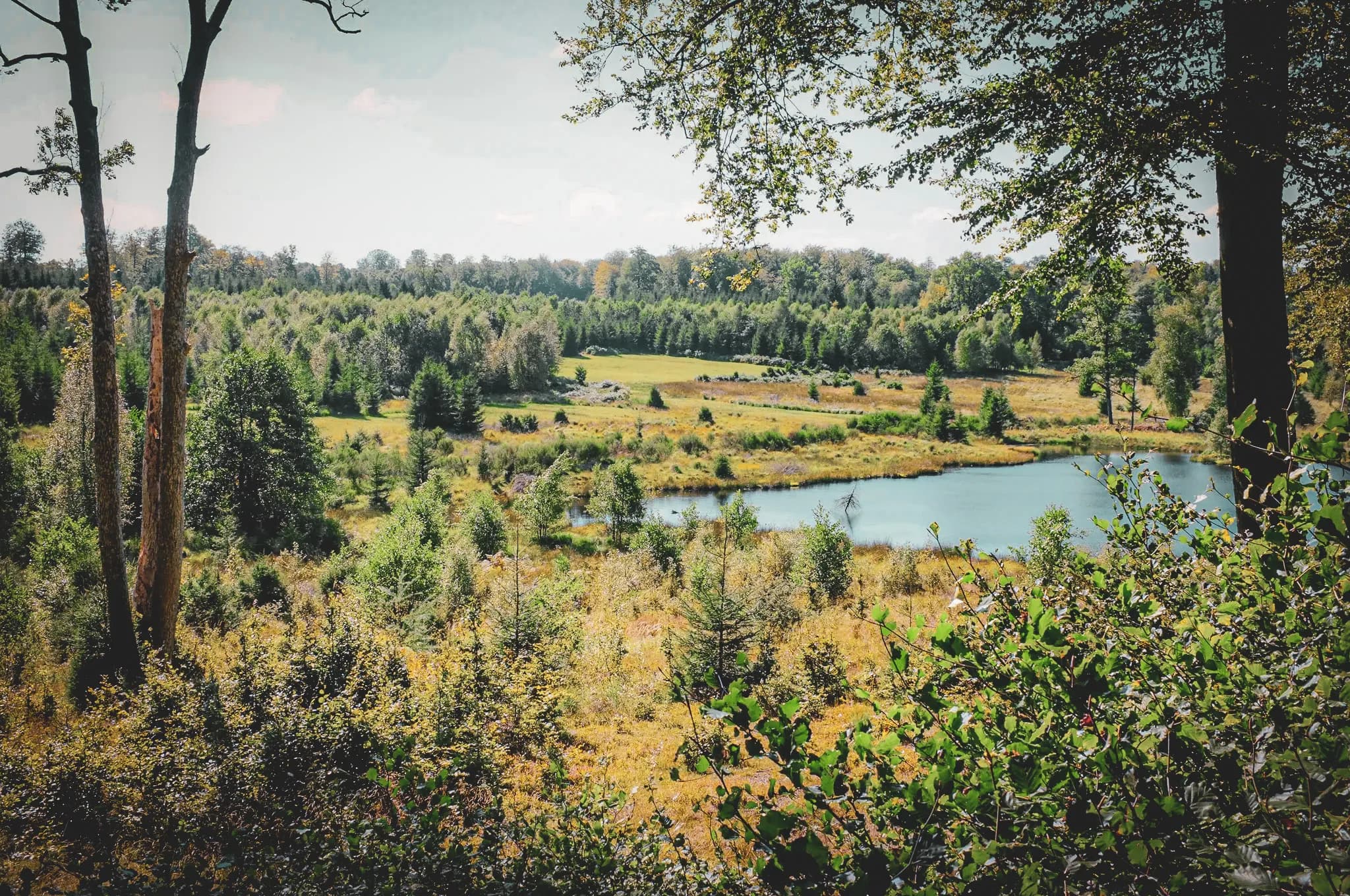 A lush natural landscape, with panoramic views over a tree-lined valley. In the centre, a tranquil lake reflects the sky, surrounded by fields and woodland. Trees of varying heights