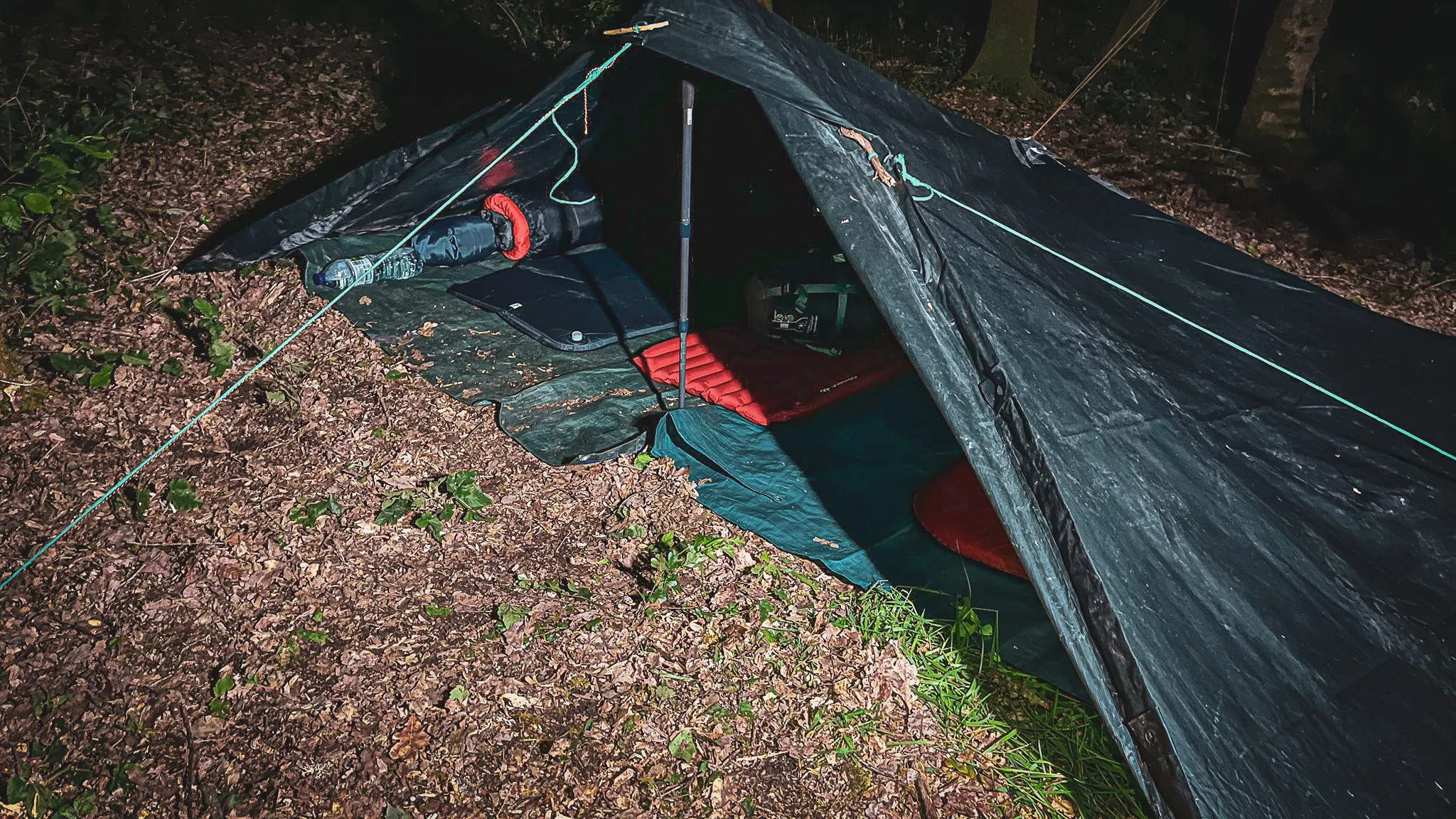 Tente de survie dans les sous-bois, ambiance nocturne paisible, escapade nature.