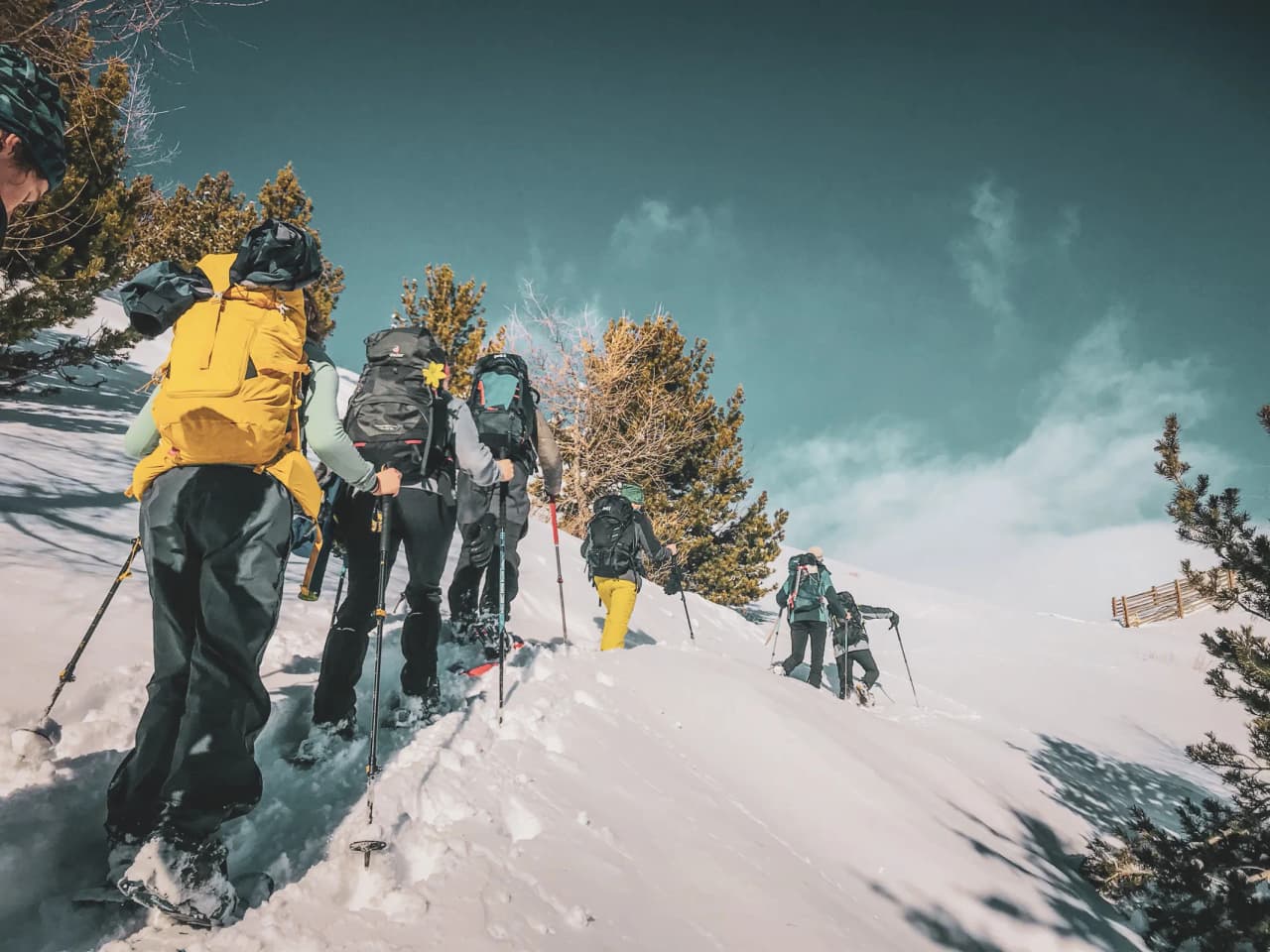 A group of hikers on snowshoes on a snowy path, facing the majestic glaciers.