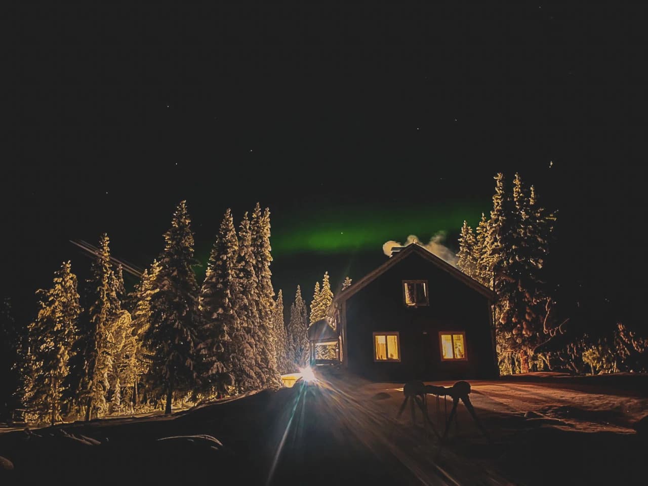 A house illuminated under the northern lights, surrounded by snow-covered fir trees in Lapland.
