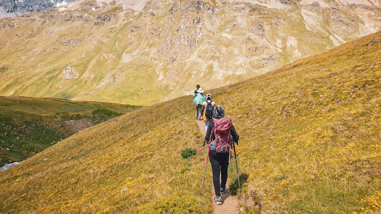 Groupe de randonneurs sur un sentier ensoleillé, entouré de vastes prairies fleuries en Vanoise.