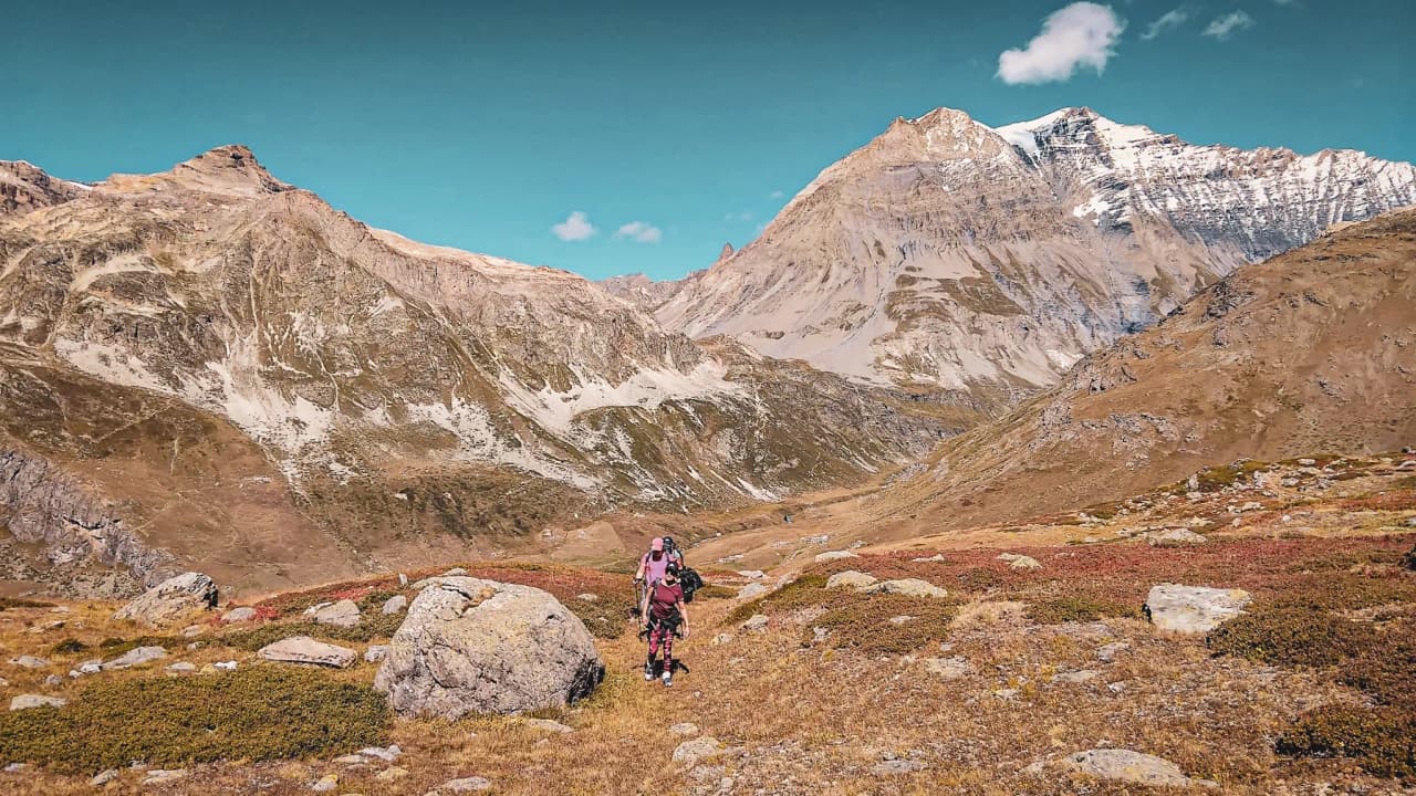 Randonneurs dans le parc national de la Vanoise, entre montagnes majestueuses et prairies dorées.