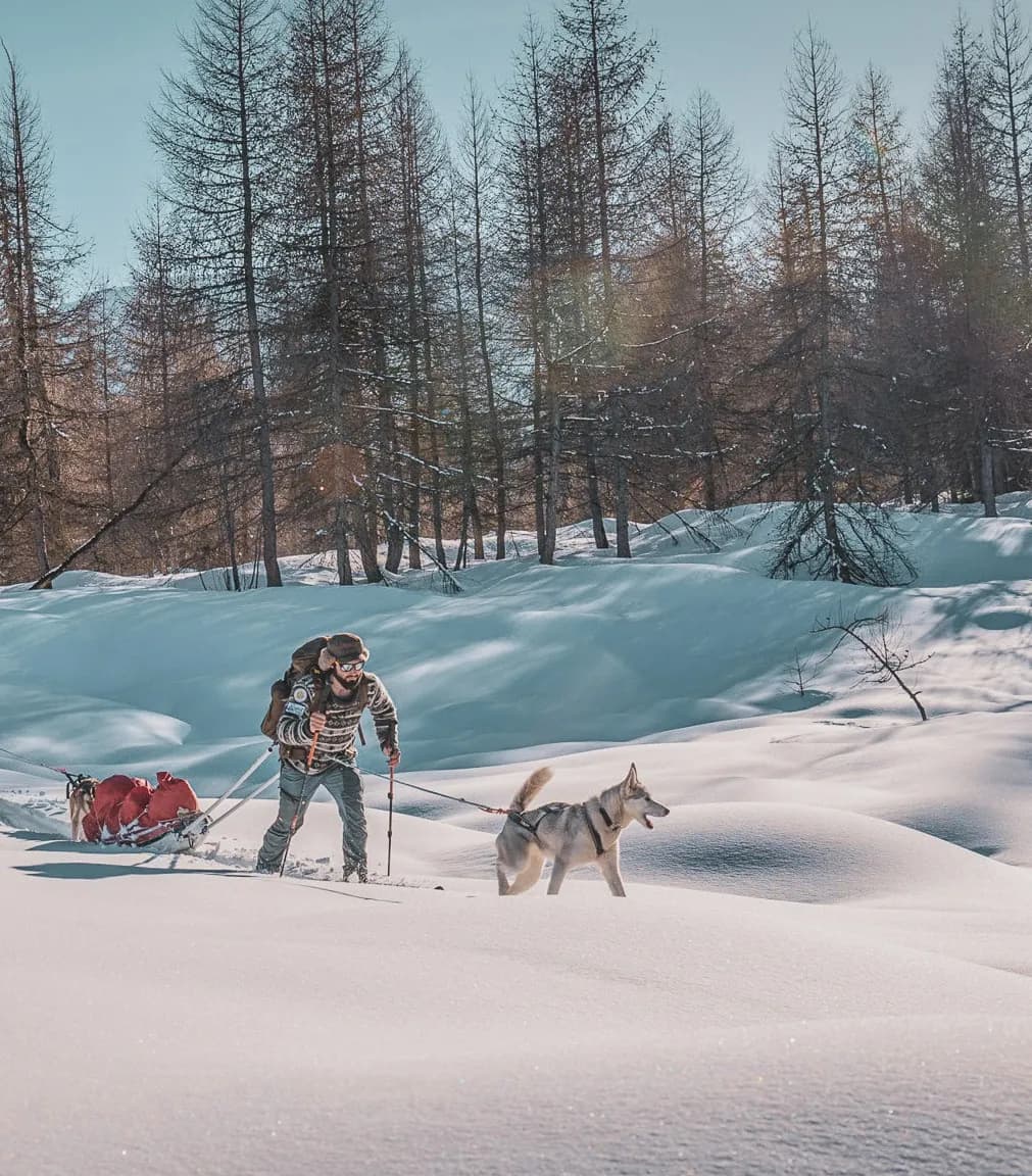 Cani-raquettes et bivouac hivernal dans les Écrins
