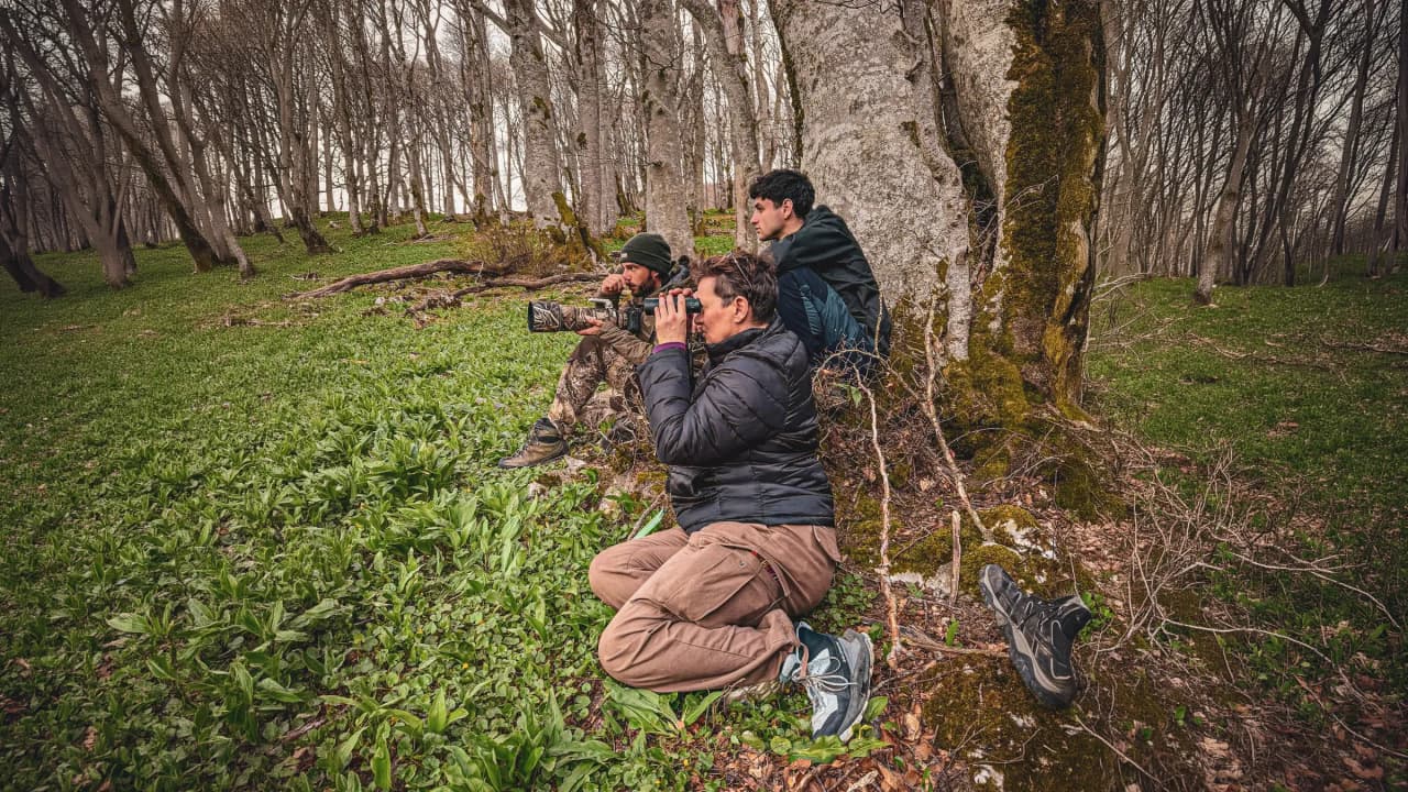 Trois aventuriers observent la nature verdoyante du Vercors, à la recherche de loups.
