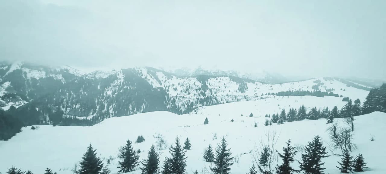 A snow-covered landscape around Mont Blanc, offering majestic views of peaks and forests.