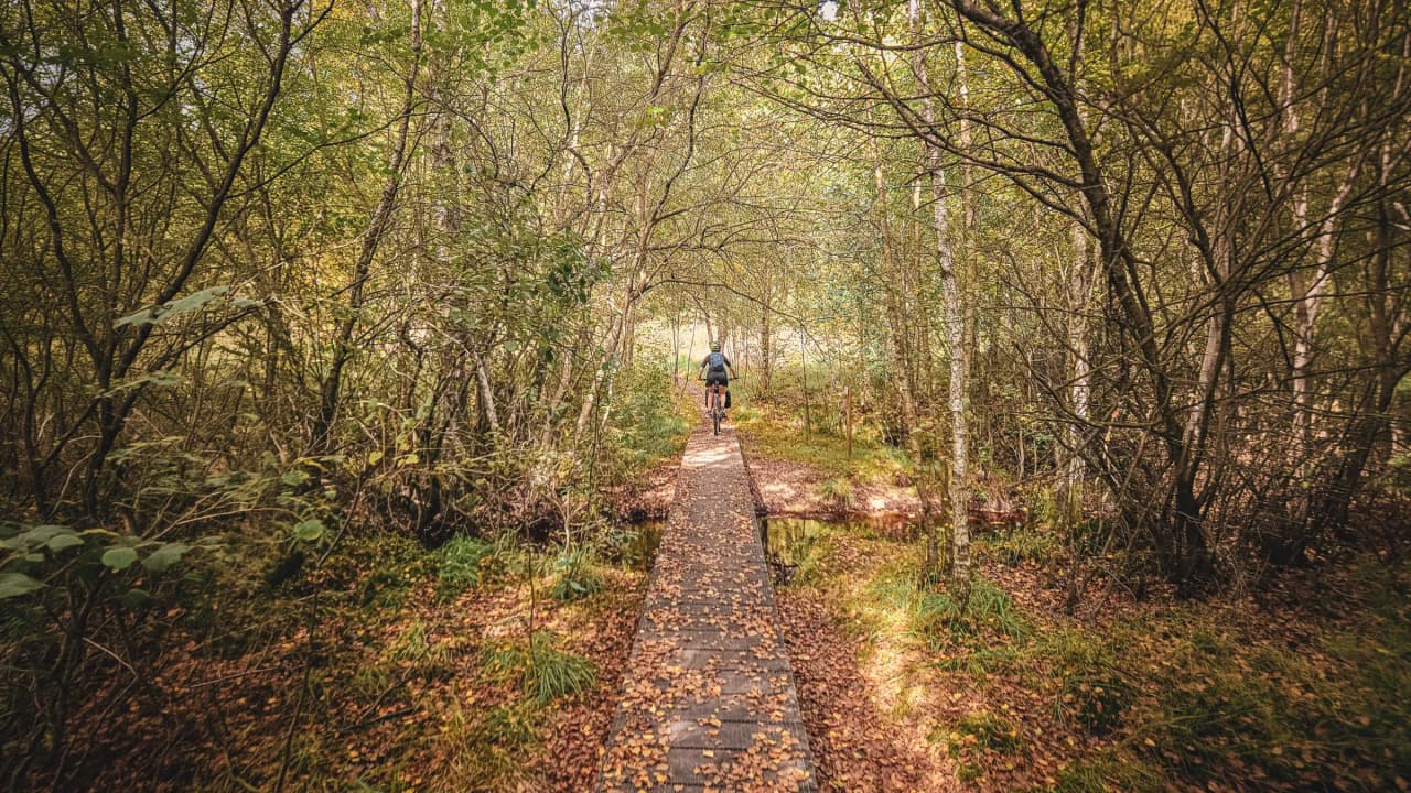 A cyclist on a wooden path, surrounded by dense forests, inviting you to enjoy a natural adventure.