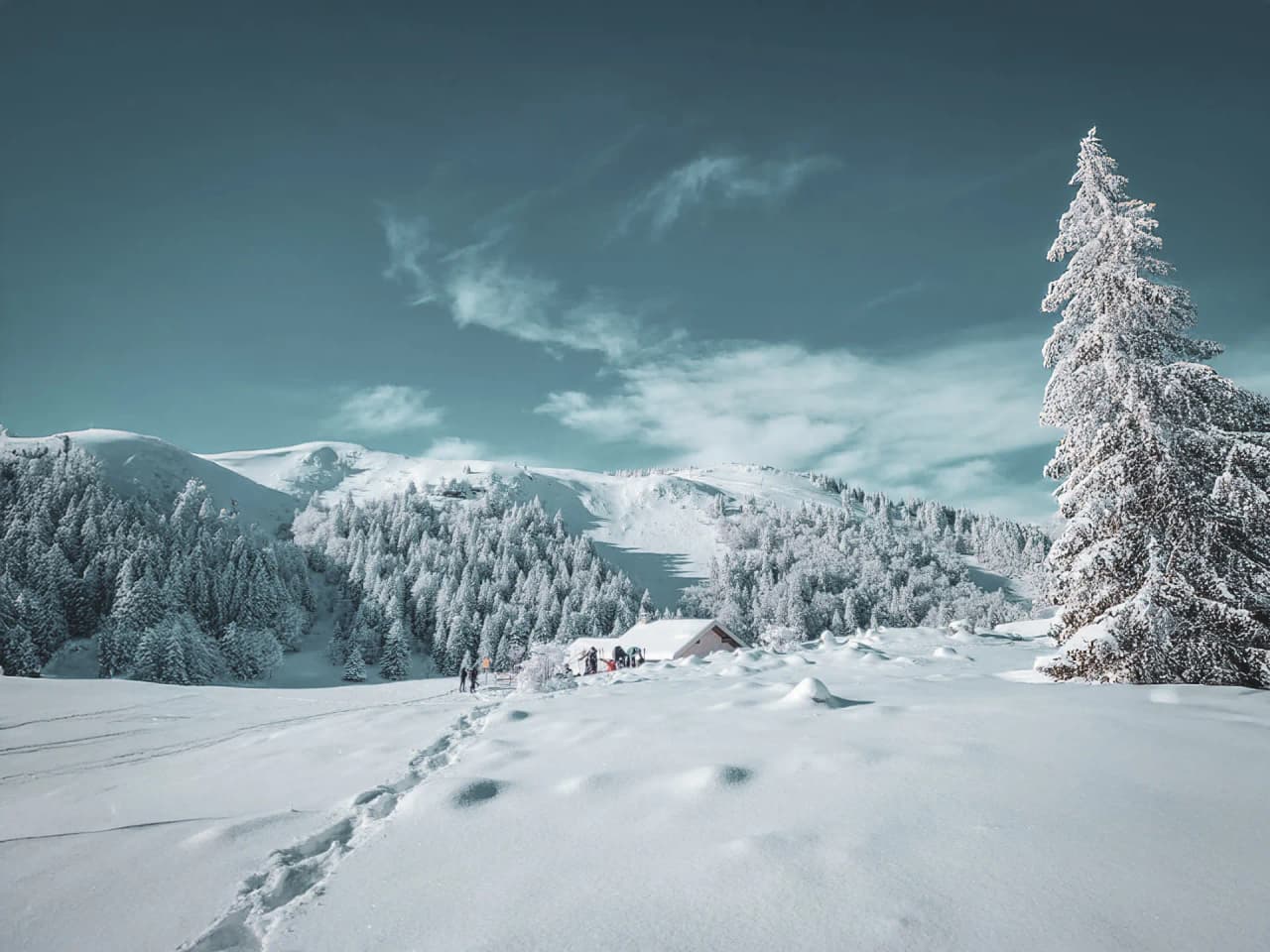 A winter panorama of the Swiss Jura, snow-covered landscapes, snowshoes and the serenity of nature.