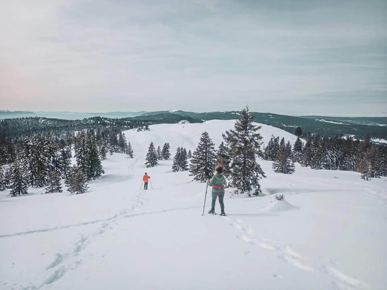 Snowshoe hikers bask in a snowy Jura landscape, surrounded by fir trees.