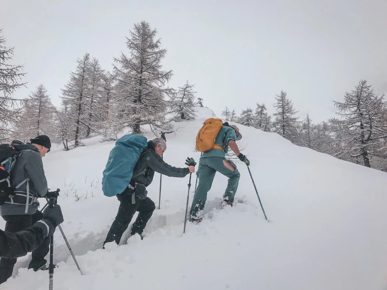 Group of hikers on snowshoes in the snow, under a misty sky, in the middle of the mountains.