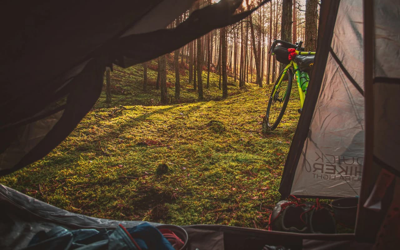 View from a tent, revealing a lush forest and a bike ready for adventure.