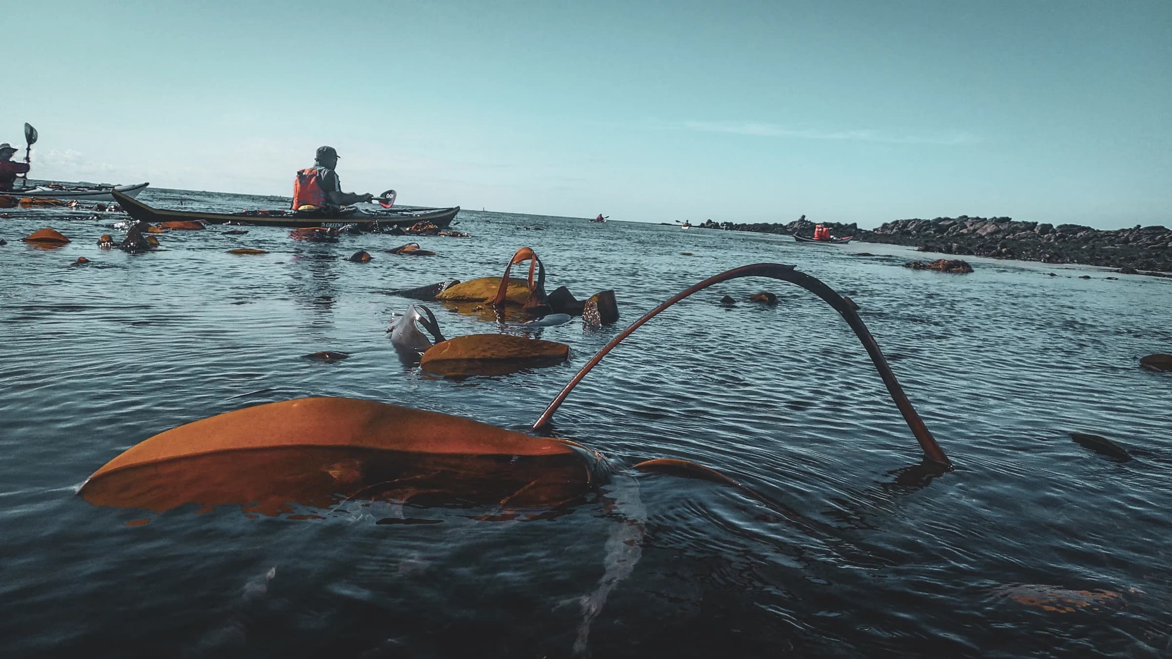 Paddle a kayak through the golden seaweed of the Molène Islands, under clear skies and a soothing sea.