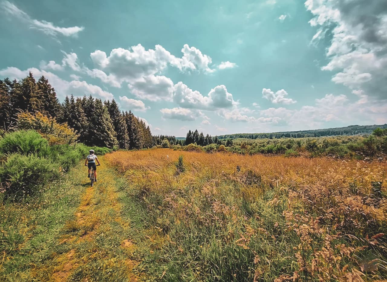 A cyclist takes a green path through the Ardennes forests under a blue sky.
