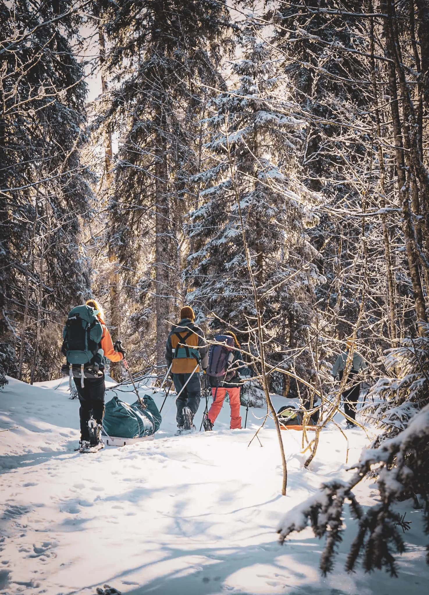 Wintertrekking met pulka en sneeuwschoenen door de wilde Jura