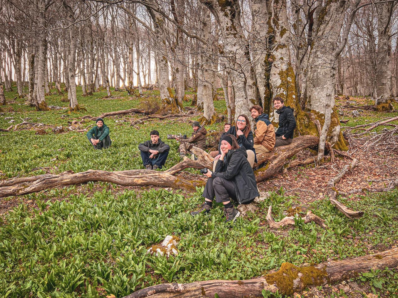 Un groupe de randonneurs se repose dans une forêt verdoyante du Vercors, entouré d'arbres majestueux.