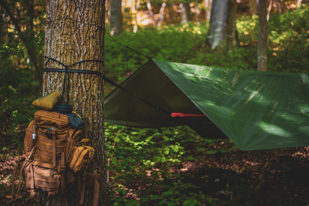 Sac à dos suspendu à un arbre, abri en toile verte en pleine forêt belge, ambiance nature.