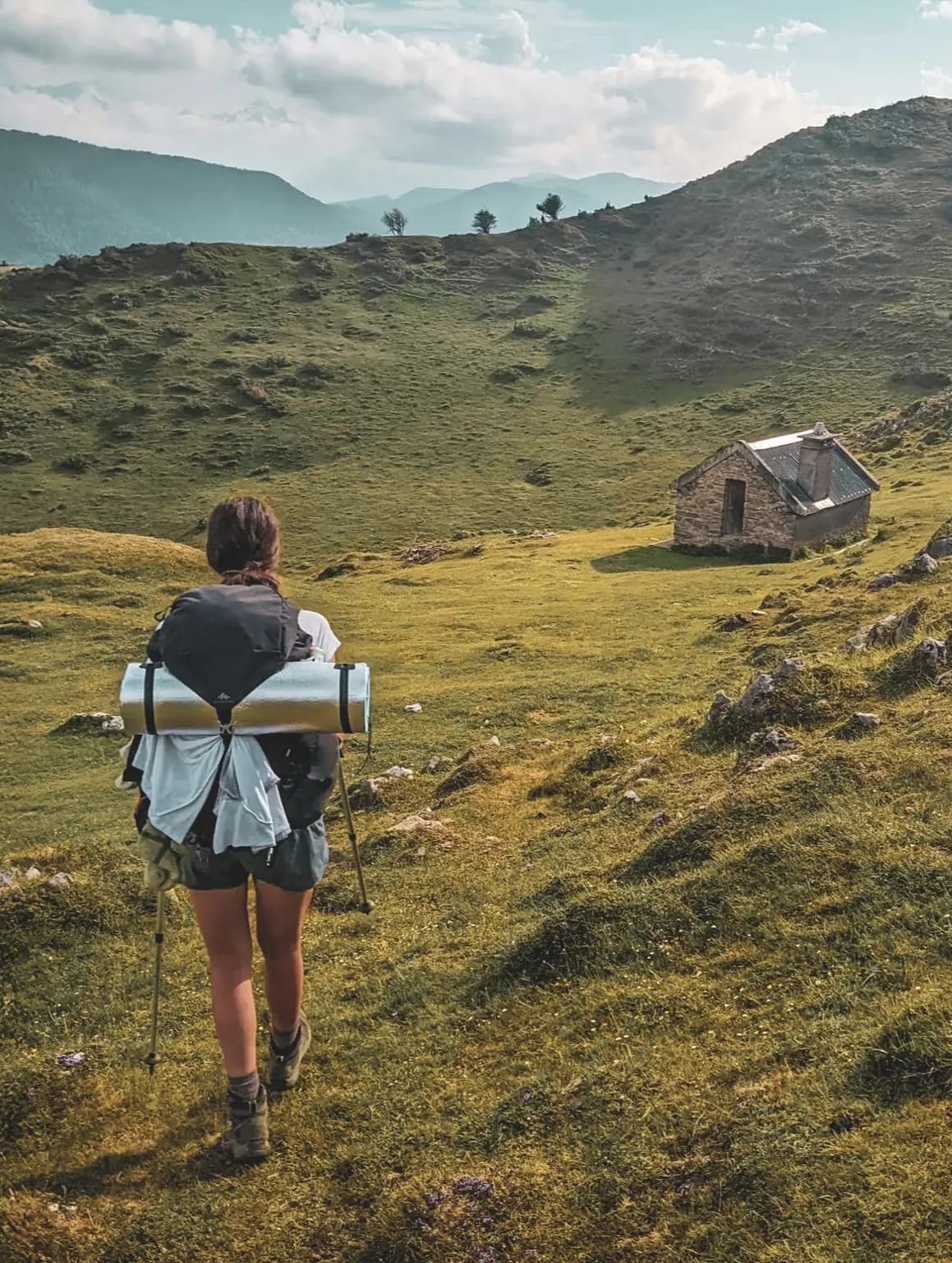 Sur les traces de l’ours des Pyrénées