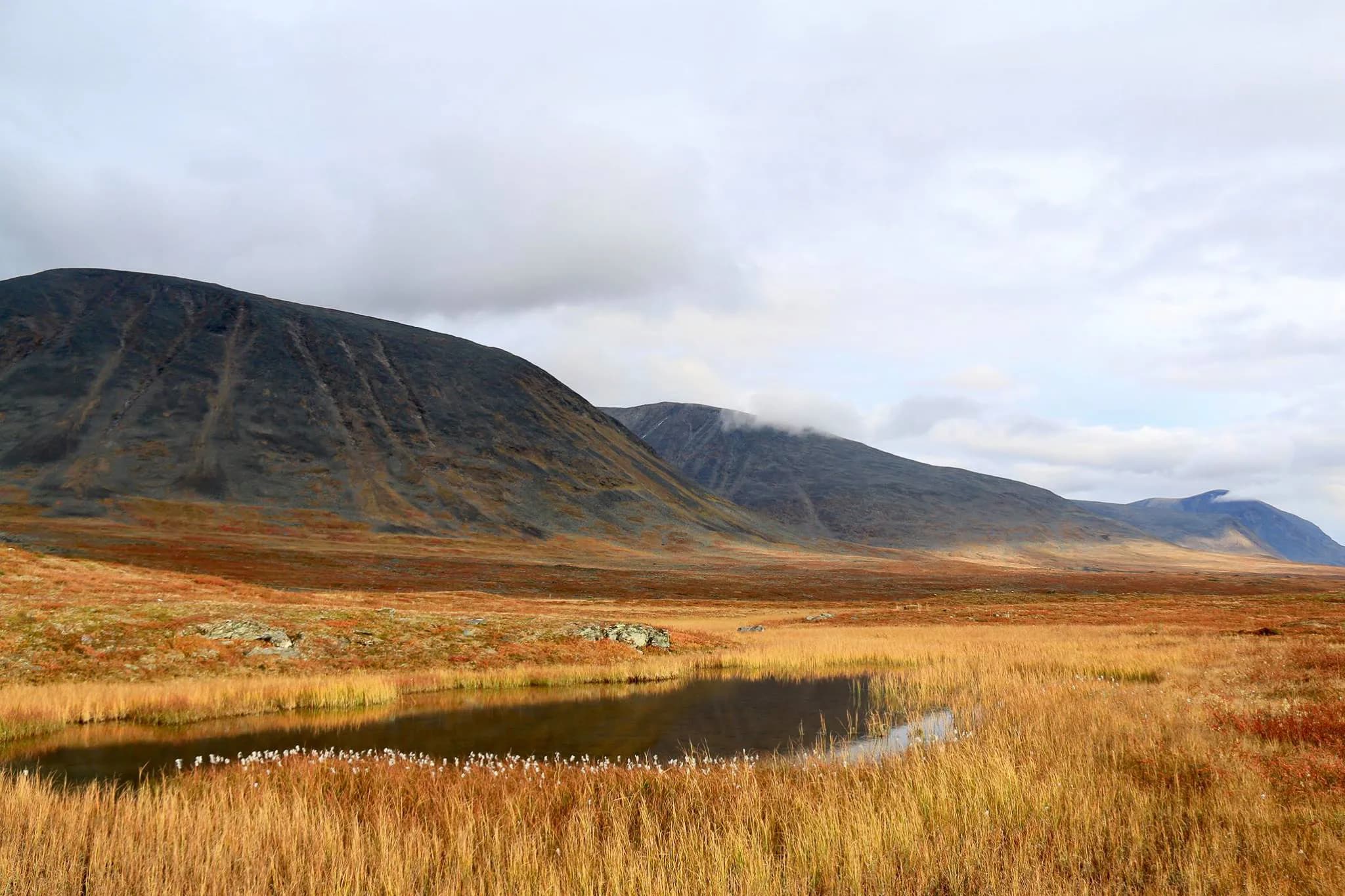 Un paysage vaste avec des montagnes à l'arrière-plan, recouvertes de nuages. Au premier plan, un étang tranquille reflète le ciel, entouré d'une végétation dorée et de touffes de fleurs blanches.